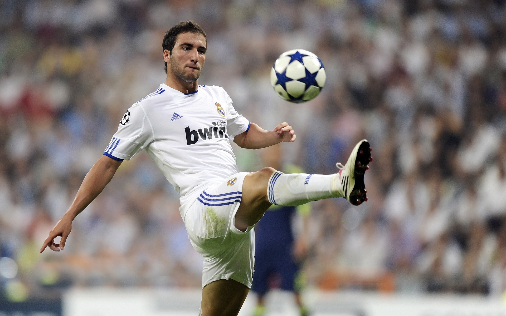 凯恩迎来五赛季出色发挥,中国队观众热烈欢呼!气势如虹延续